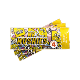 Mr.Mushies | Mango Gelato | 4g | mr mushies mango gelato